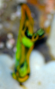 蛍光色なウミウシのピンボケ写真