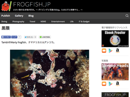 WordPressテーマ『FROGFISH.JP』