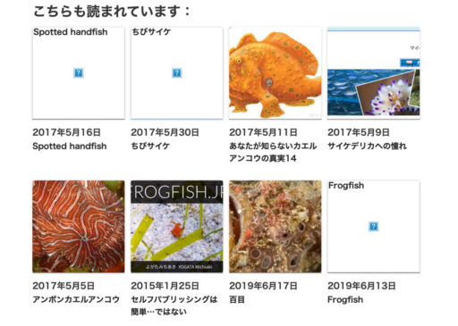 Frogfish.jpの画面例